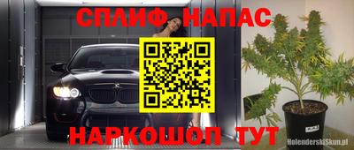 молекула духа Заводоуковск