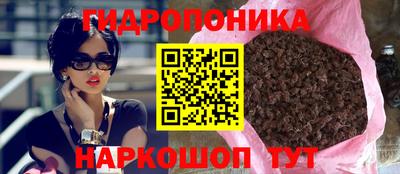 индика Заволжье