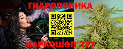 молекула духа Заводоуковск
