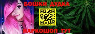 индика Заволжье