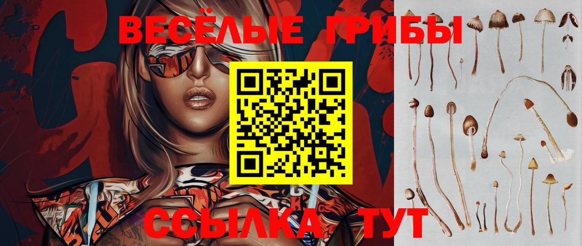 Галлюциногенные грибы ЛСД  Вход с VPN  Дальнереченск 